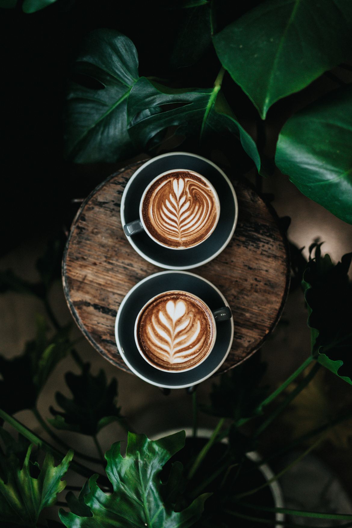 Если вы любите экспериментировать с ароматами, интересным решением являются всевозможные ароматизированные кофейные сиропы, которые придают ему характерный аромат